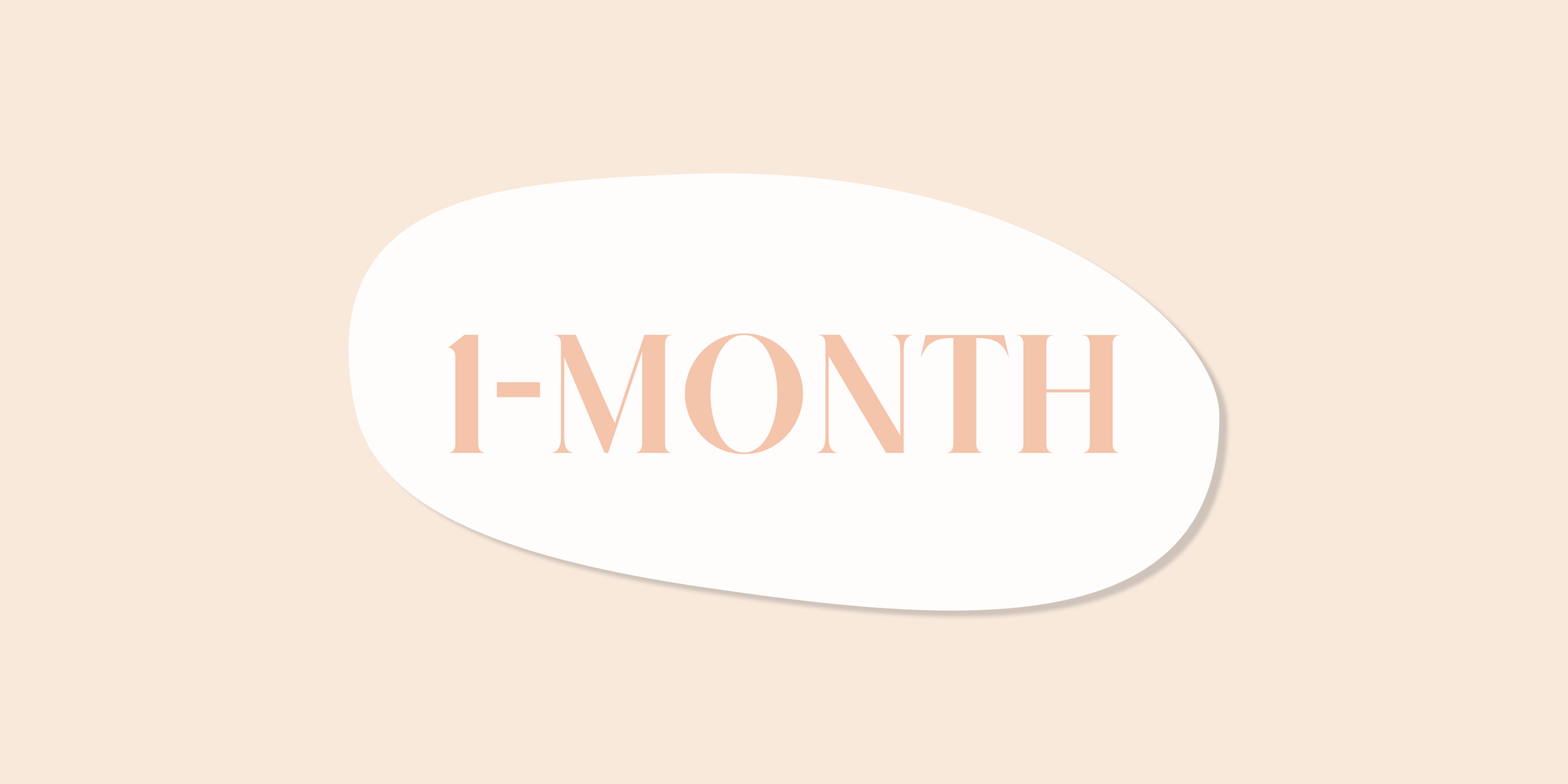 Monthly Contact Lenses